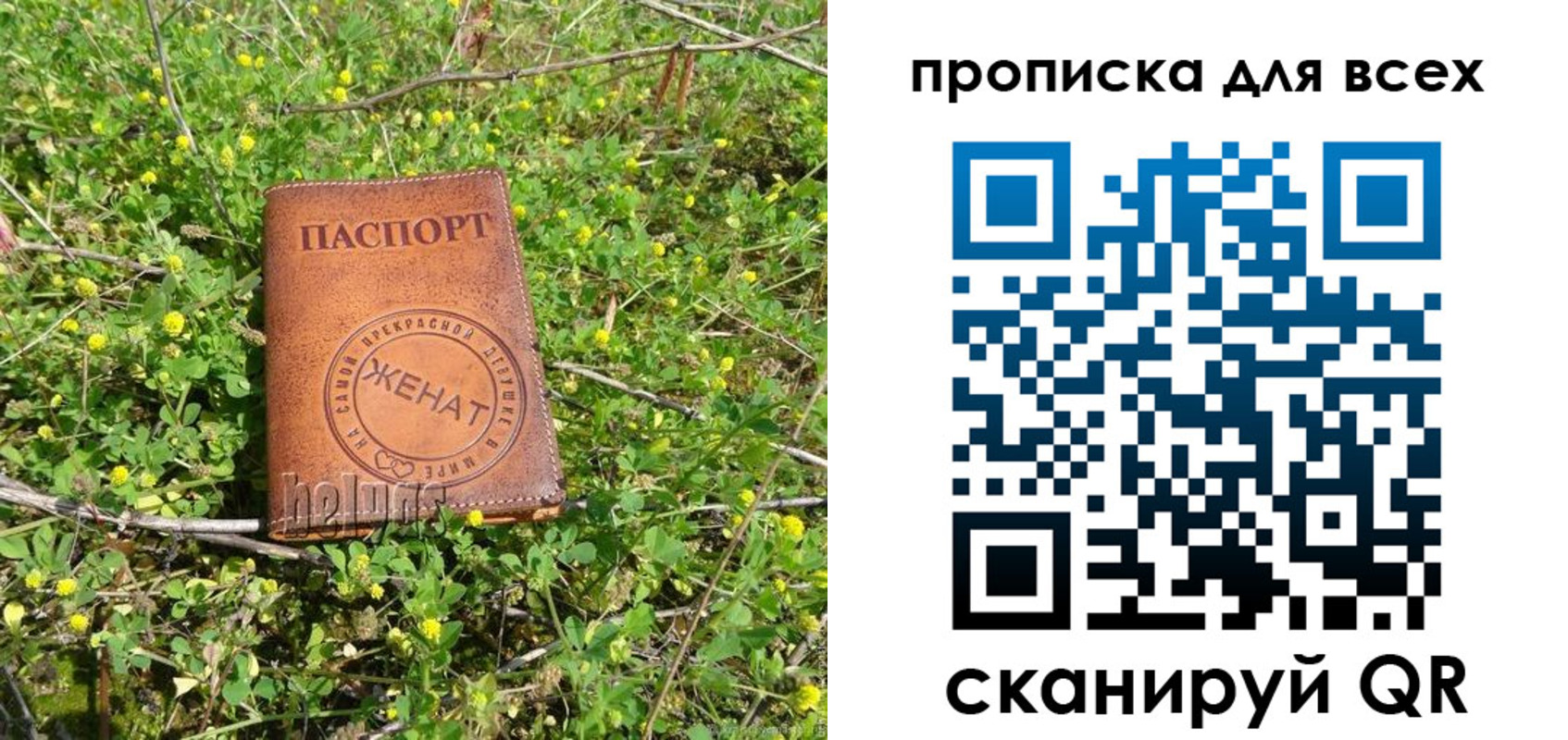 прописка поиск в Петровск-Забайкальском